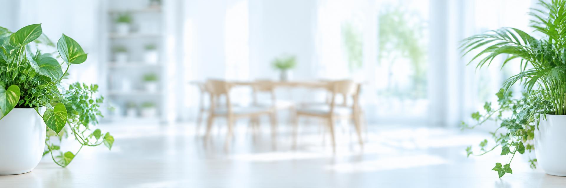 Bright room with potted plants